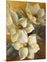 Magnolias Aglow at Sunset II-Lanie Loreth-Mounted Art Print