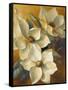 Magnolias Aglow at Sunset II-Lanie Loreth-Framed Stretched Canvas