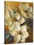 Magnolias Aglow at Sunset II-Lanie Loreth-Stretched Canvas