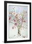 Magnolias and Moon I-Richard Bolingbroke-Framed Art Print