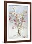 Magnolias and Moon I-Richard Bolingbroke-Framed Art Print