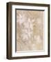 Magnolias III-li bo-Framed Premium Giclee Print