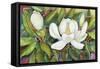 Magnolias in their Prime-Joanne Porter-Framed Stretched Canvas