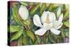 Magnolias in their Prime-Joanne Porter-Stretched Canvas