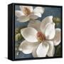 Magnolias on Blue I-Lanie Loreth-Framed Stretched Canvas