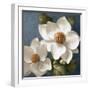 Magnolias on Blue II-Lanie Loreth-Framed Art Print