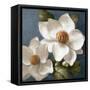 Magnolias on Blue II-Lanie Loreth-Framed Stretched Canvas