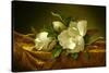 Magnolias on Gold Velvet Cloth, C.1888-90 (Oil on Canvas)-Martin Johnson Heade-Stretched Canvas