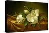 Magnolias on Gold Velvet Cloth, C.1888-90 (Oil on Canvas)-Martin Johnson Heade-Stretched Canvas