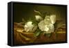 Magnolias on Gold Velvet Cloth, C. 1889-Martin Johnson Heade-Framed Stretched Canvas