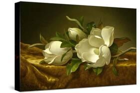 Magnolias on Gold Velvet Cloth, C. 1889-Martin Johnson Heade-Stretched Canvas