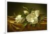 Magnolias on Gold Velvet Cloth, C. 1889-Martin Johnson Heade-Framed Giclee Print