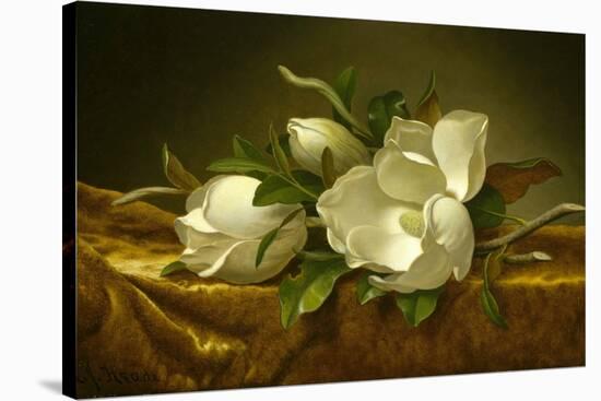 Magnolias on Gold Velvet Cloth, C. 1889-Martin Johnson Heade-Stretched Canvas