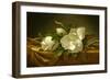 Magnolias on Gold Velvet Cloth, C. 1889-Martin Johnson Heade-Framed Premium Giclee Print