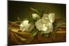 Magnolias on Gold Velvet Cloth, C. 1889-Martin Johnson Heade-Mounted Premium Giclee Print