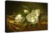Magnolias on Gold Velvet Cloth, C. 1889-Martin Johnson Heade-Stretched Canvas
