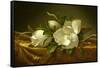 Magnolias on Gold Velvet Cloth, C. 1889-Martin Johnson Heade-Framed Stretched Canvas