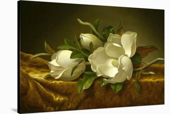 Magnolias on Gold Velvet Cloth, C. 1889-Martin Johnson Heade-Stretched Canvas