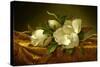 Magnolias on Gold Velvet Cloth-Martin Johnson Heade-Stretched Canvas