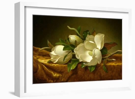 Magnolias on Gold Velvet Cloth-Martin Johnson Heade-Framed Giclee Print