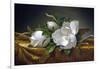 Magnolias on Gold Velvet Cloth-Martin Johnson Heade-Framed Giclee Print