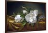 Magnolias on Gold Velvet Cloth-Martin Johnson Heade-Framed Giclee Print