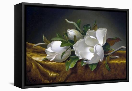 Magnolias on Gold Velvet Cloth-Martin Johnson Heade-Framed Stretched Canvas