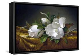 Magnolias on Gold Velvet Cloth-Martin Johnson Heade-Framed Stretched Canvas