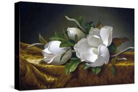 Magnolias on Gold Velvet Cloth-Martin Johnson Heade-Stretched Canvas