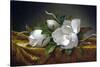 Magnolias on Gold Velvet Cloth-Martin Johnson Heade-Stretched Canvas