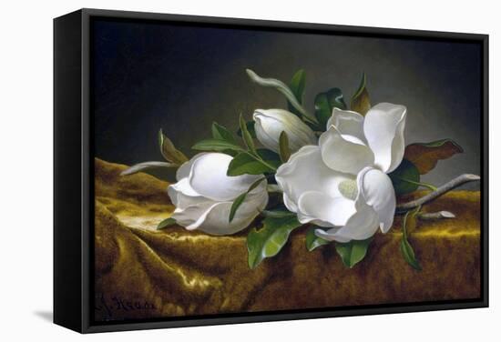 Magnolias on Gold Velvet Cloth-Martin Johnson Heade-Framed Stretched Canvas