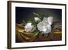 Magnolias on Gold Velvet Cloth-Martin Johnson Heade-Framed Giclee Print