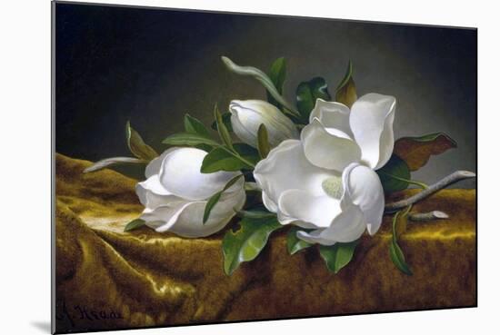 Magnolias on Gold Velvet Cloth-Martin Johnson Heade-Mounted Giclee Print