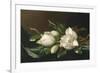 Magnolias on Light Blue Velvet Cloth, 1885/95-Martin Johnson Heade-Framed Giclee Print