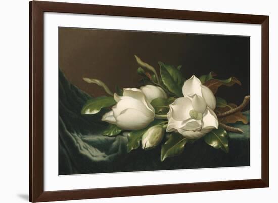 Magnolias on Light Blue Velvet Cloth, 1885/95-Martin Johnson Heade-Framed Giclee Print