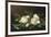 Magnolias on Light Blue Velvet Cloth, 1885/95-Martin Johnson Heade-Framed Giclee Print