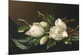 Magnolias on Light Blue Velvet Cloth, 1885/95-Martin Johnson Heade-Mounted Giclee Print