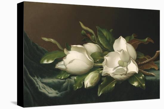 Magnolias on Light Blue Velvet Cloth, 1885/95-Martin Johnson Heade-Stretched Canvas