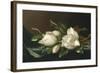 Magnolias on Light Blue Velvet Cloth, 1885/95-Martin Johnson Heade-Framed Giclee Print