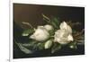 Magnolias on Light Blue Velvet Cloth, 1885/95-Martin Johnson Heade-Framed Giclee Print