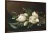 Magnolias on Light Blue Velvet Cloth, 1885/95-Martin Johnson Heade-Framed Giclee Print