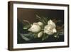 Magnolias on Light Blue Velvet Cloth, 1885/95-Martin Johnson Heade-Framed Premium Giclee Print