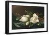 Magnolias on Light Blue Velvet Cloth, 1885/95-Martin Johnson Heade-Framed Premium Giclee Print