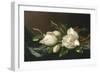 Magnolias on Light Blue Velvet Cloth, 1885/95-Martin Johnson Heade-Framed Premium Giclee Print