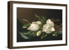 Magnolias on Light Blue Velvet Cloth, 1885/95-Martin Johnson Heade-Framed Giclee Print