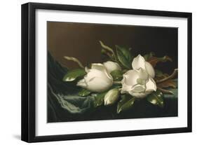 Magnolias on Light Blue Velvet Cloth, 1885/95-Martin Johnson Heade-Framed Giclee Print