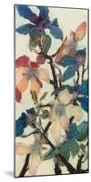 Magnolias XIII-Jenni Christensen-Mounted Art Print