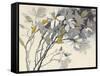 Magnolias Yellow Gray-Shirley Novak-Framed Stretched Canvas