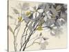 Magnolias Yellow Gray-Shirley Novak-Stretched Canvas