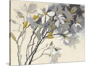 Magnolias Yellow Gray-Shirley Novak-Stretched Canvas